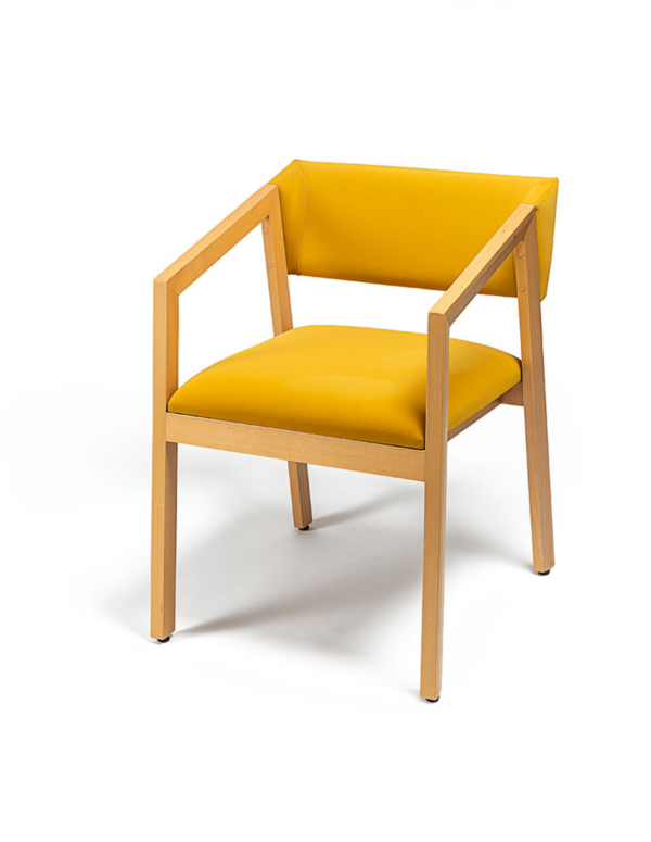 Fauteuil ELDA 1