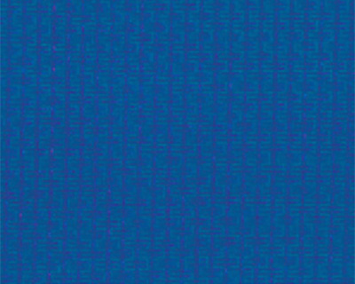 Toile en Polyéthylène : Bleu