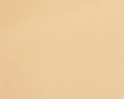 TOILE EN DRALON : Ivoire