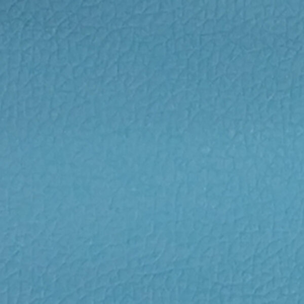 Bleu ST500