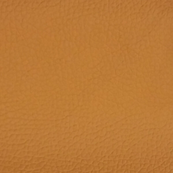 Camel ST126